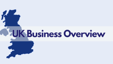 Overview of the business sector in the uk