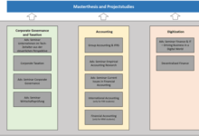Accounting and finance student alex vieru