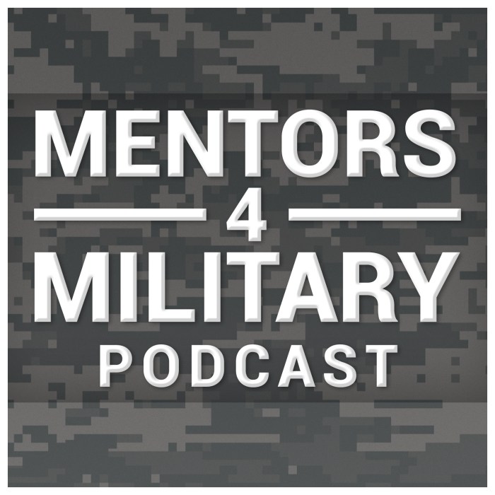 Do i need a mentor podcast transcript