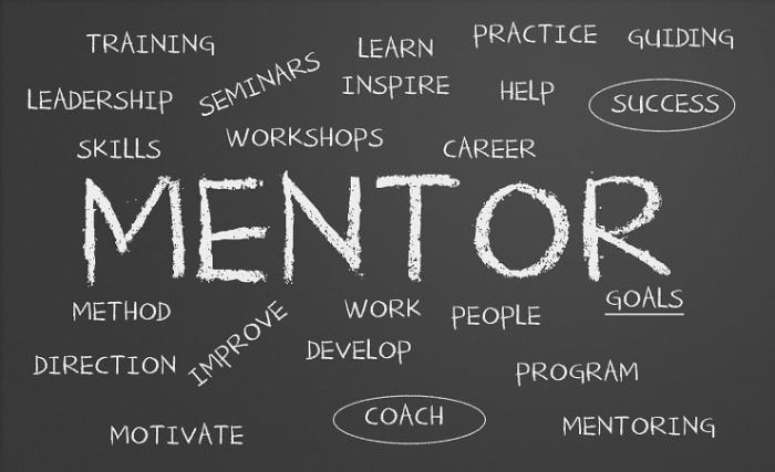 Finding the right mentor