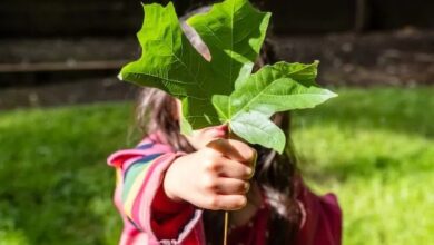 How to get an environmental job