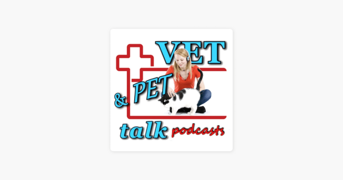 What does a vet do podcast transcript
