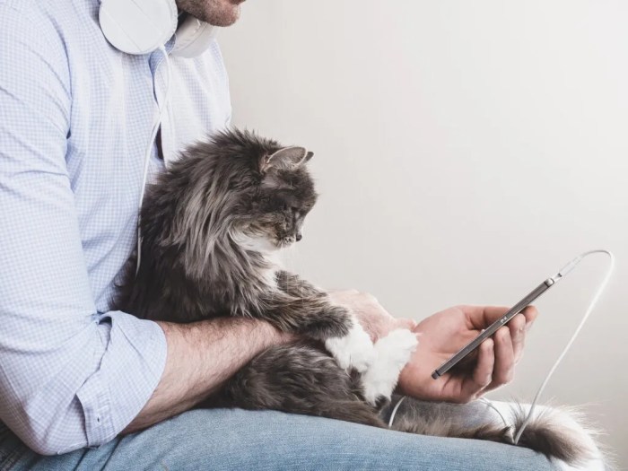 What does a vet do podcast transcript