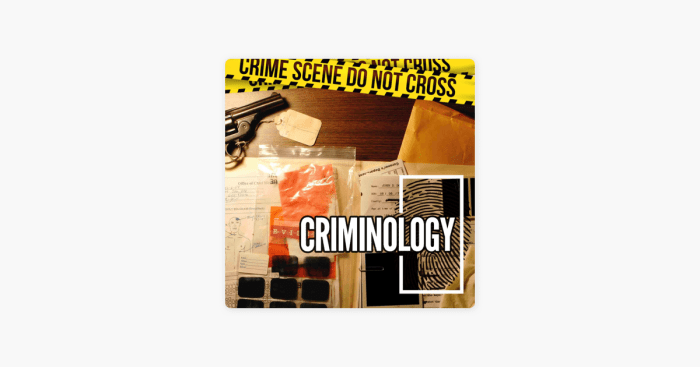Why study criminology and criminal psychology podcast transcript