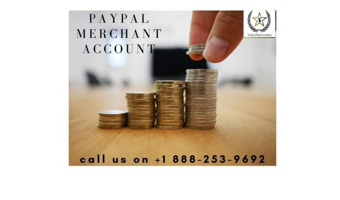Paypal merchant account differences