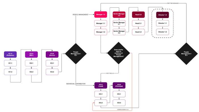 Unlocking career paths with a payroll diploma