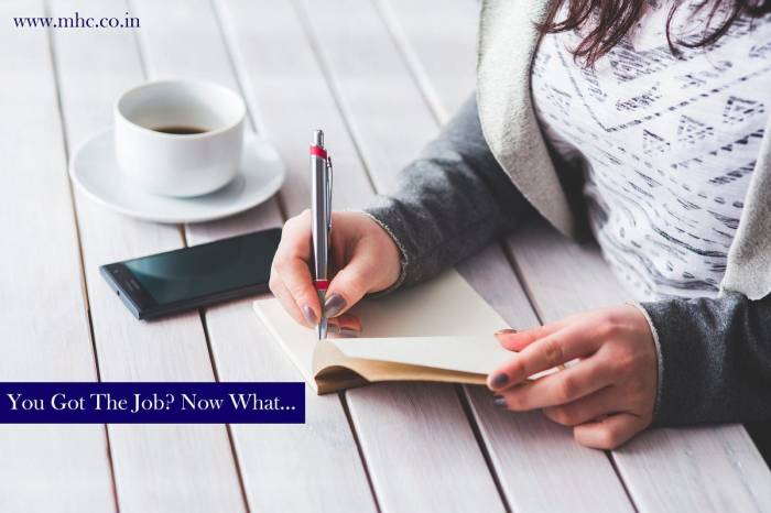 How i got my job
