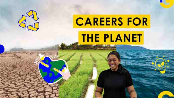 How to get an environmental job