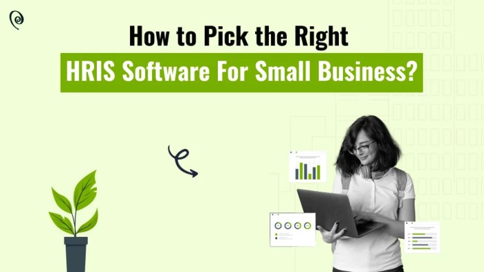 Best hris software compared