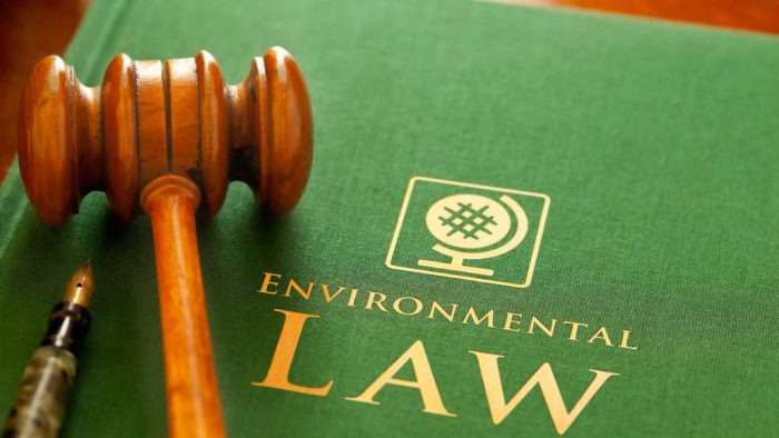 Introducing llm environmental law and sustainable development