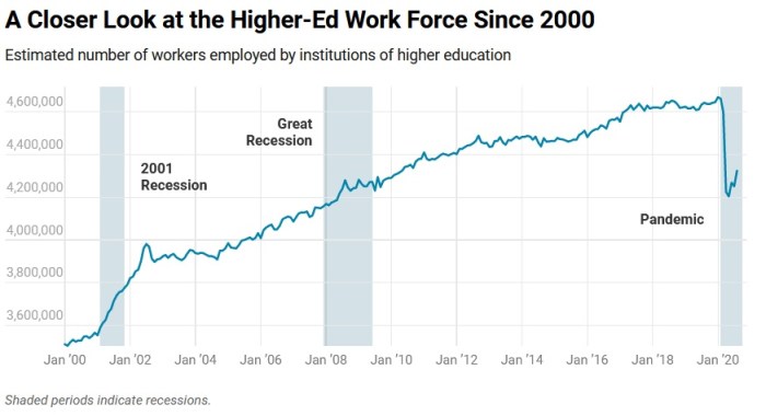 More than half of final year students lose jobs