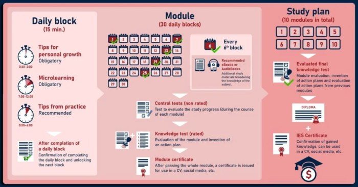 Introducing msc digital education