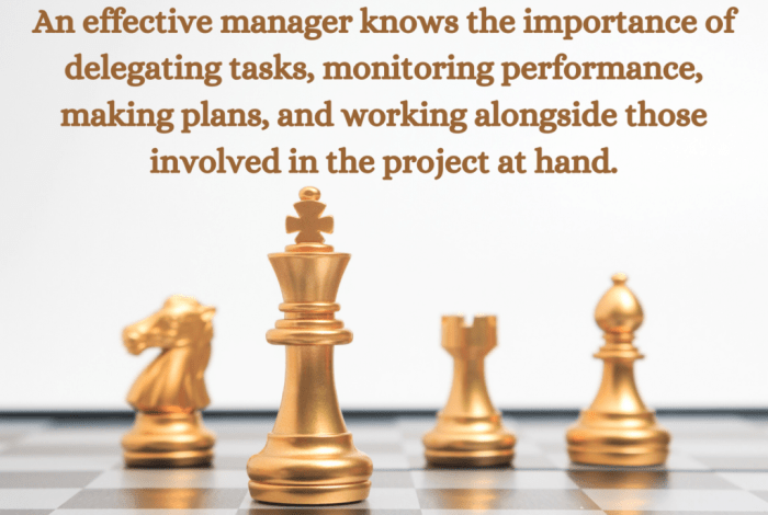 7 skills for a successful management career
