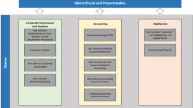 Accounting and finance student alex vieru