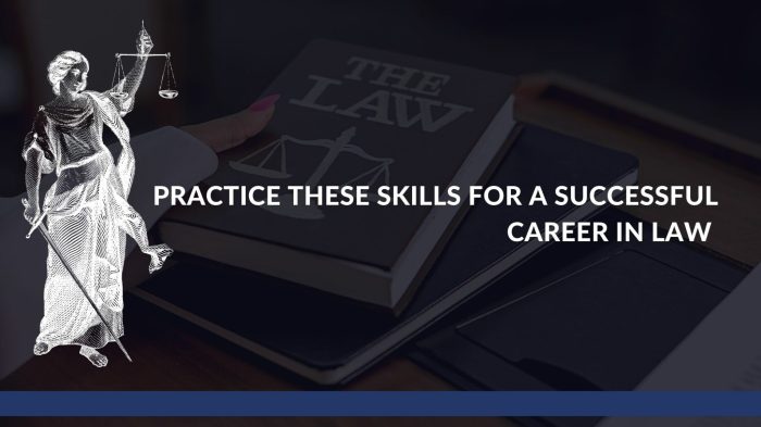7 skills for a successful law career