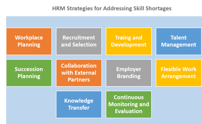 Work experience key to tackling skills shortages