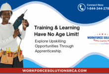 What is an apprenticeship
