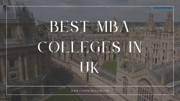 Best mba programmes in the uk