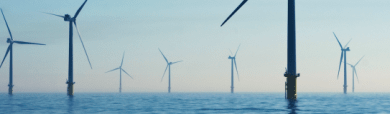 Law sustainable development emerging challenges policy ppt powerpoint presentation