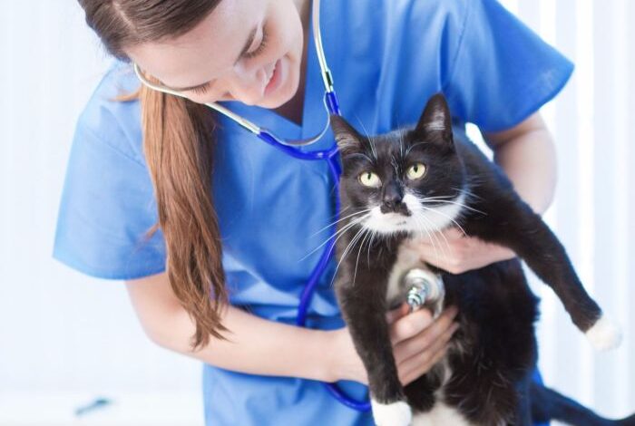 Animal science and management