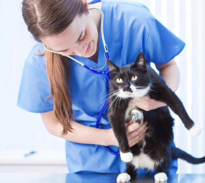 Animal science and management