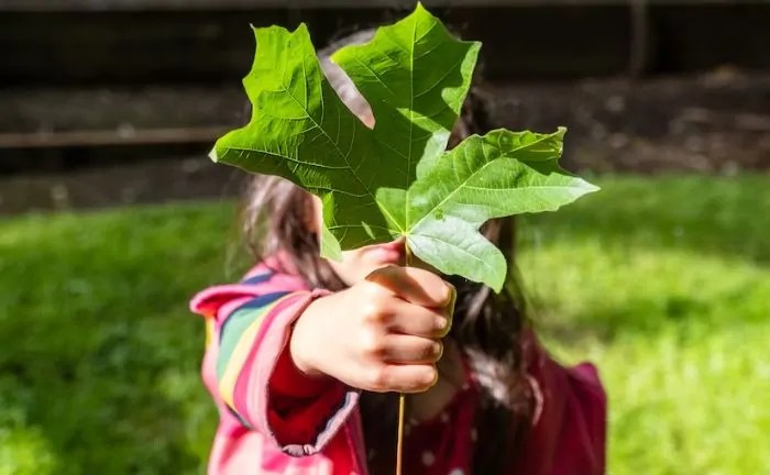 How to get an environmental job