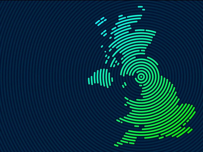 Overview of the uks it industry