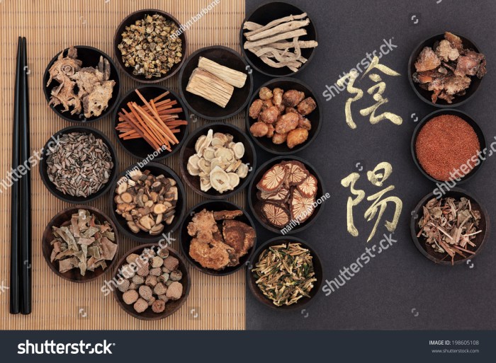 Practitioner in chinese herbal medicine malika meddings