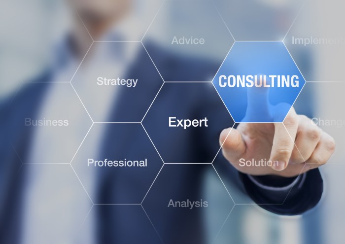 Business consulting and management jobs
