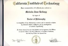 What is a phd