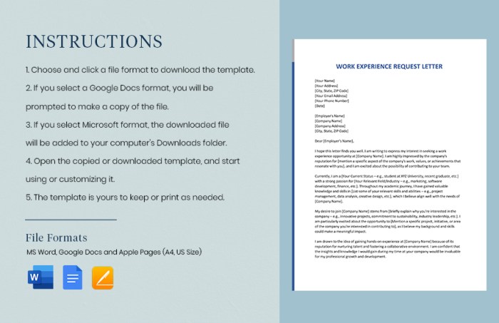 Work Experience Request Letter in Word, Google Docs, Pages - Download ... How to ask employers for work experience