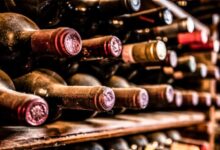 Why study finance and investment management podcast transcript