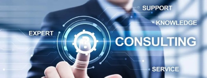 Consulting Business consulting and management