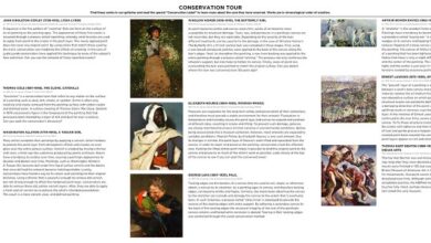 How to get into museum conservation