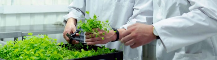 12 Sustainability Jobs Worth Exploring And How To Land Them How to get a job in sustainability