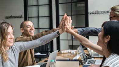 Work experience and internships