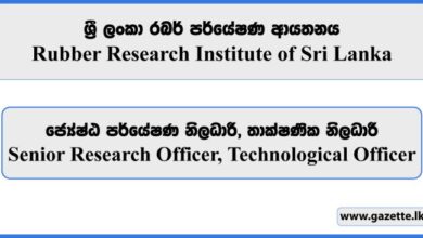 Government social research officer
